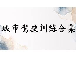 城市驾驶训练合集