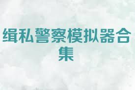 缉私警察模拟器合集
