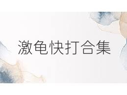 激龟快打合集