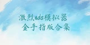 激烈nds模拟器金手指版合集