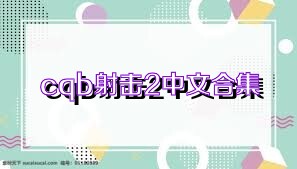cqb射击2中文合集