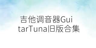 吉他调音器GuitarTuna旧版合集