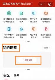 国家政务服务平台怎么操作