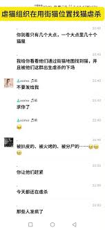 街猫app怎么搜索用户