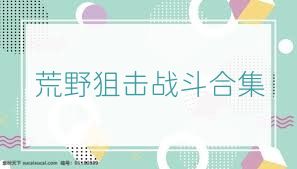 荒野狙击战斗合集