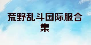 荒野乱斗国际服合集