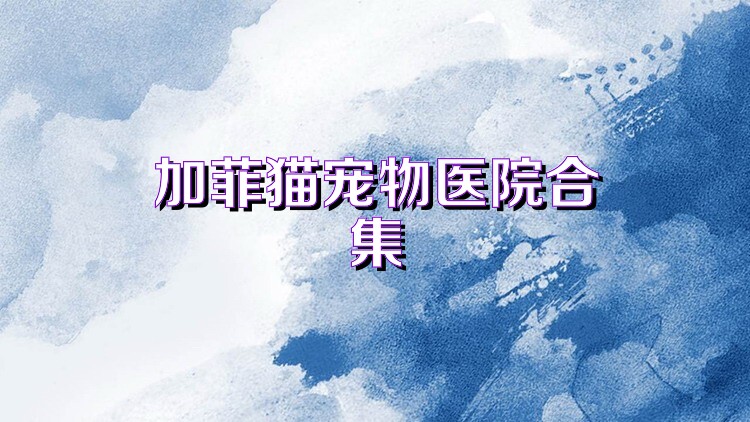 加菲猫宠物医院合集