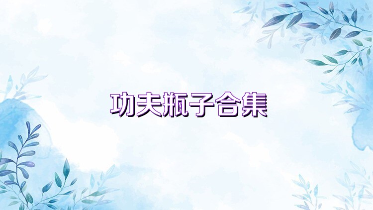 功夫瓶子合集