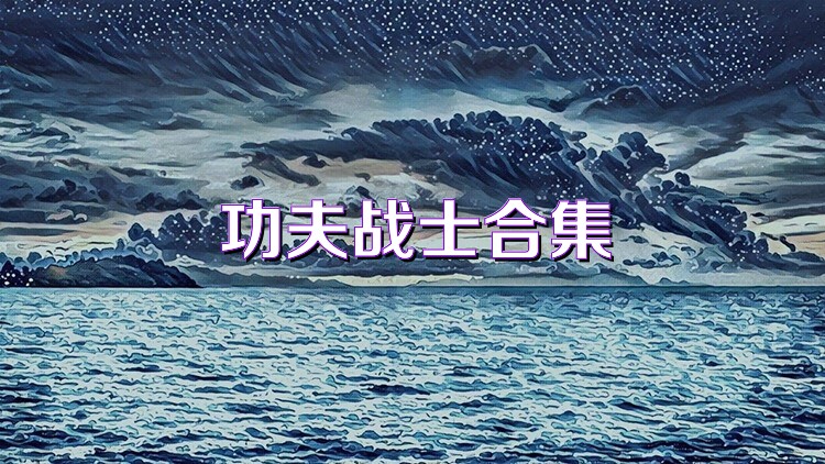 功夫战士合集
