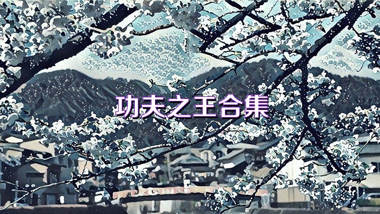 功夫之王合集