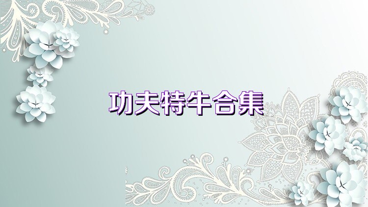 功夫特牛合集