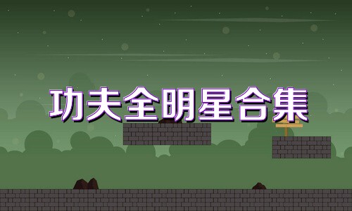 功夫全明星合集