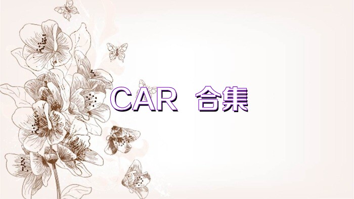 CAR++合集