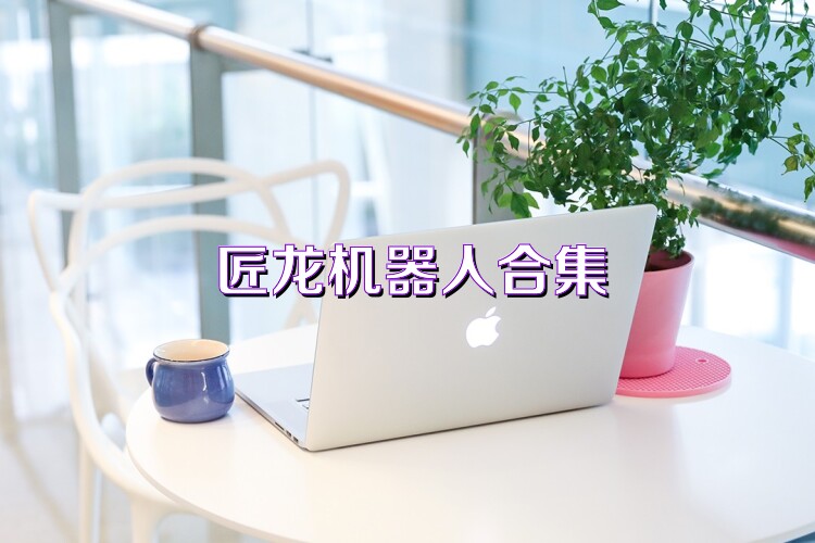 匠龙机器人合集