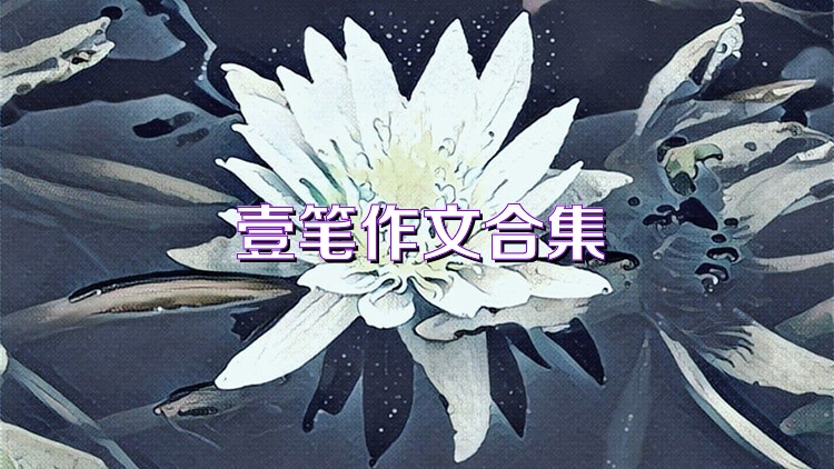壹笔作文合集