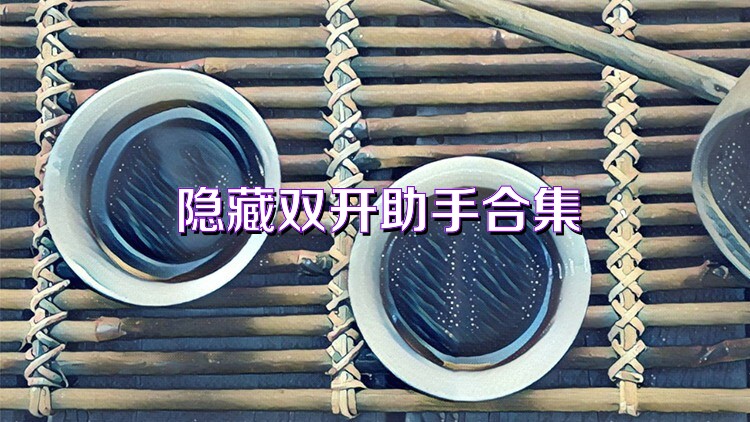 隐藏双开助手合集