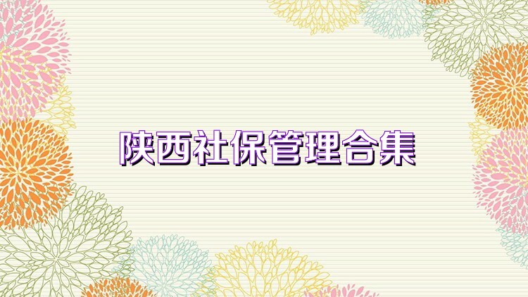 陕西社保管理合集
