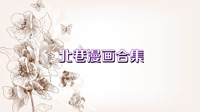 北巷漫画合集