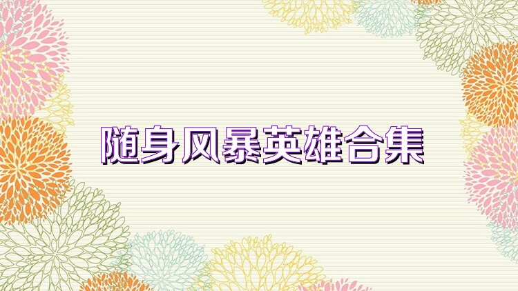 随身风暴英雄合集