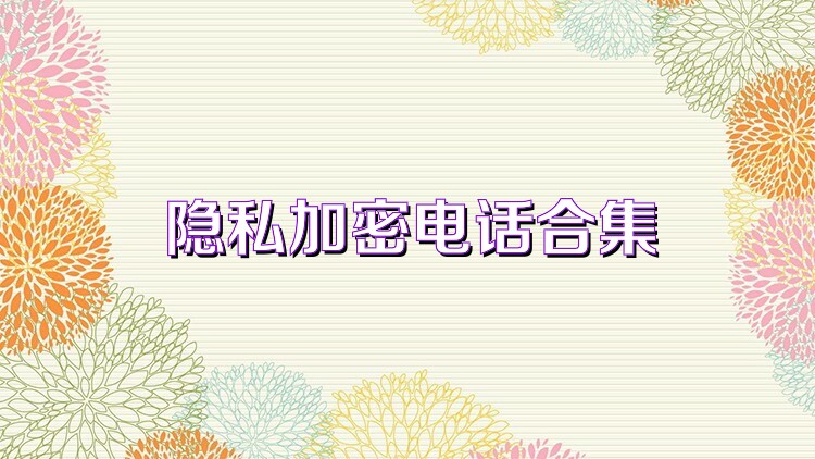 隐私加密电话合集