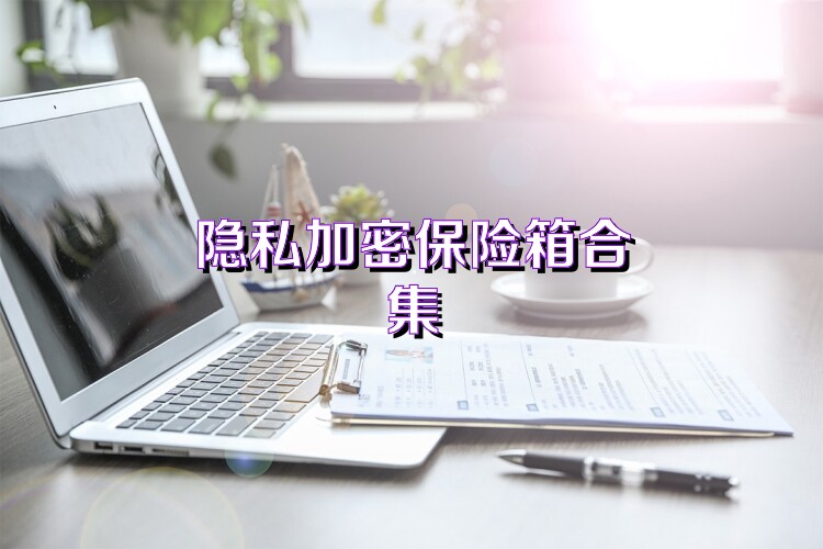 隐私加密保险箱合集
