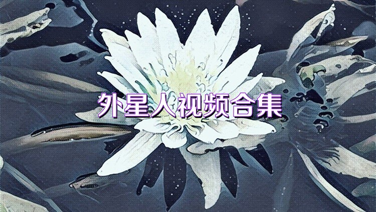 外星人视频合集