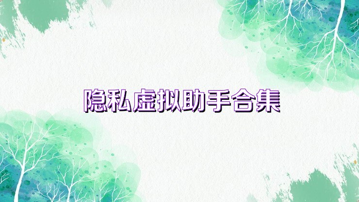 隐私虚拟助手合集