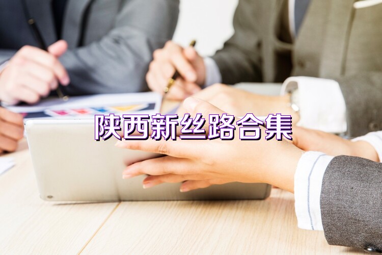 陕西新丝路合集