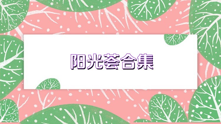 阳光荟合集