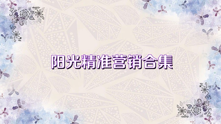 阳光精准营销合集