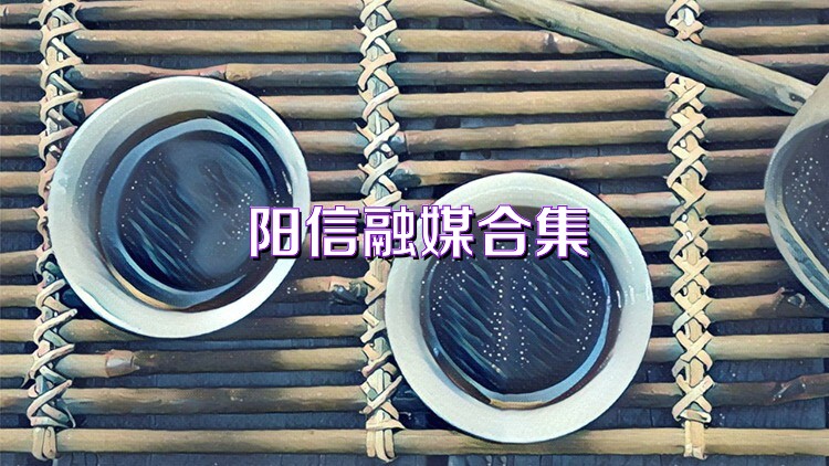 阳信融媒合集