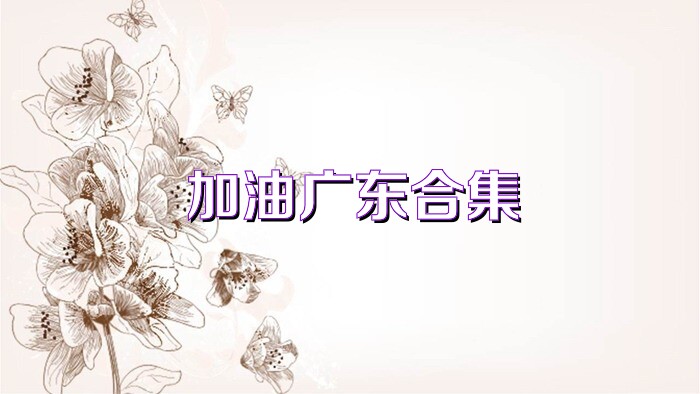 加油广东合集