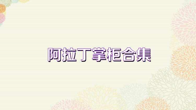阿拉丁掌柜合集