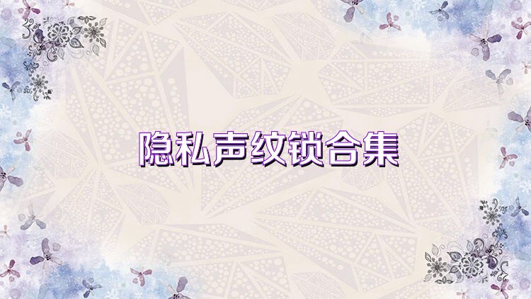 隐私声纹锁合集