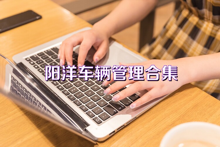 阳洋车辆管理合集
