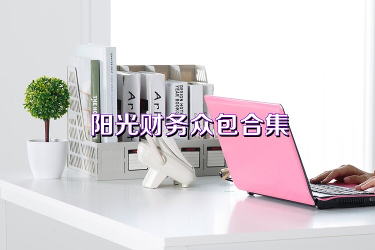 阳光财务众包合集