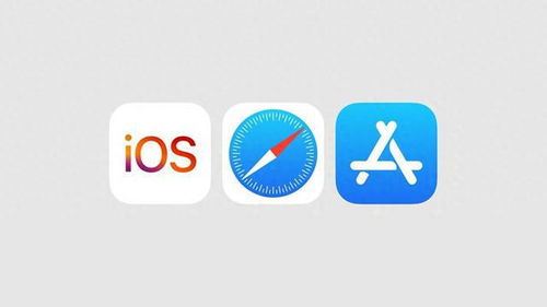 iPhone如何更改iOS17.4基本设置