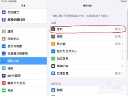 iPhone旁白功能已启用但找不到声音设置