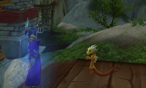 魔兽世界9.0如何驯服翔龙宠物