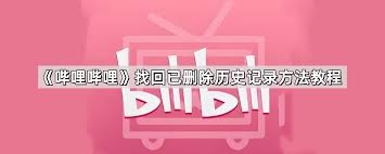 哔哩哔哩历史记录丢失怎么办