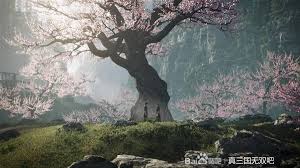 真三国无双起源曹操线选什么武器好