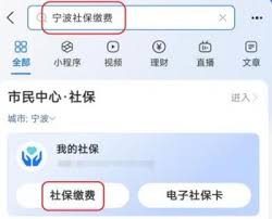 支付宝城乡居民医保缴费查询方法
