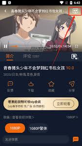 囧次元投屏问题如何解决