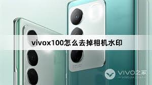 vivo手机拍照怎样去除水印