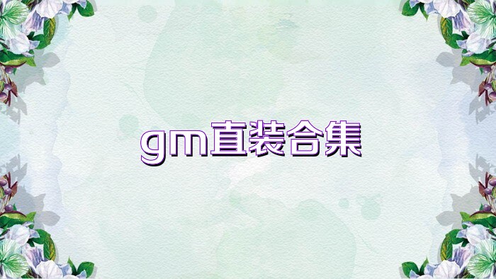 gm直装合集
