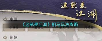 这就是江湖怎么相马