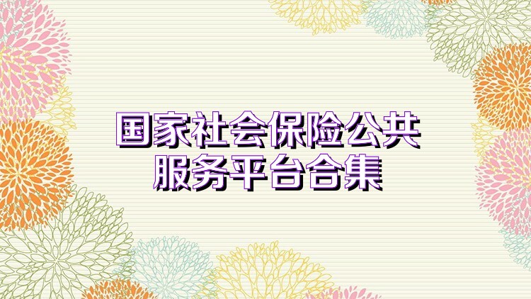 国家社会保险公共服务平台合集