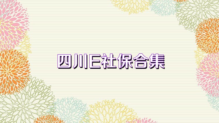 四川E社保合集