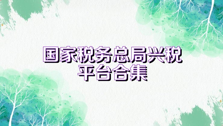 国家税务总局兴税平台合集