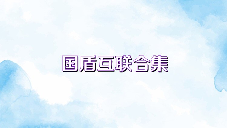 国盾互联合集